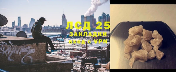 шишки Новодвинск