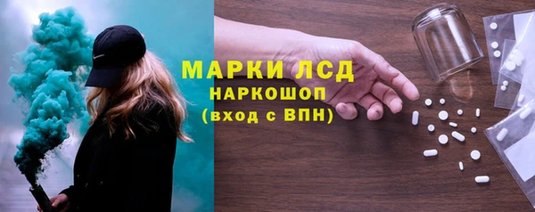 шишки Новодвинск