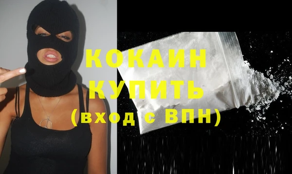 шишки Новодвинск