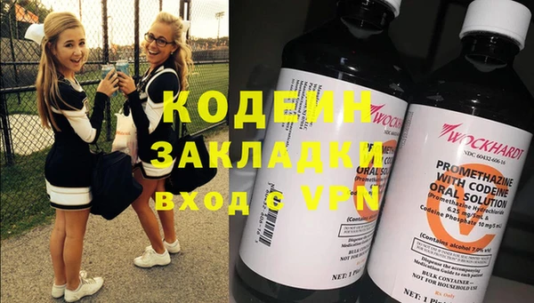 шишки Новодвинск