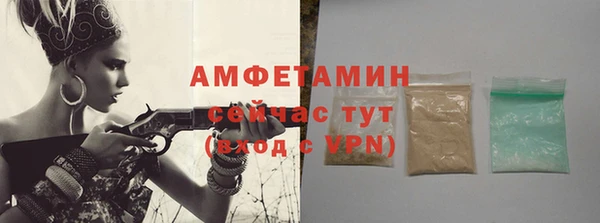 шишки Новодвинск