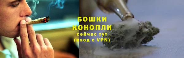 винт Нягань