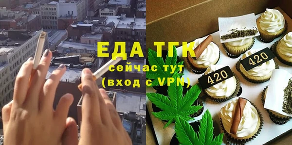 шишки Новодвинск