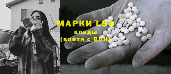 шишки Новодвинск
