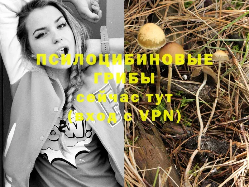 Галлюциногенные грибы Magic Shrooms  Алзамай 